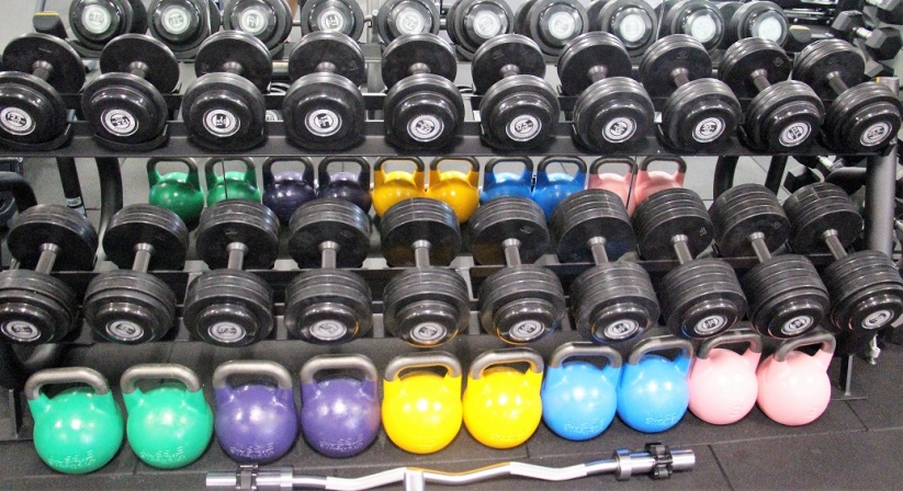Personal training session with dumbbells at Fine Tune Fitness